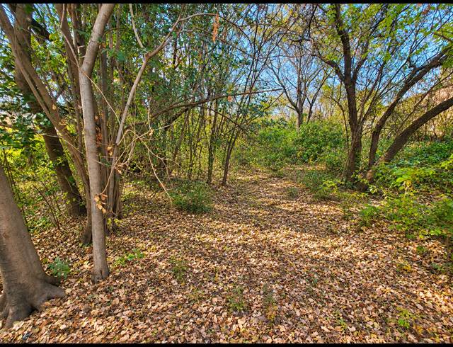1,672M² VACANT LAND FOR SALE IN ROTHDENE